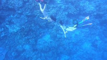 绘真·妙笔千山